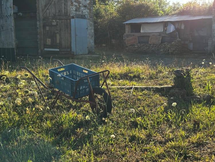 the lot has changed!