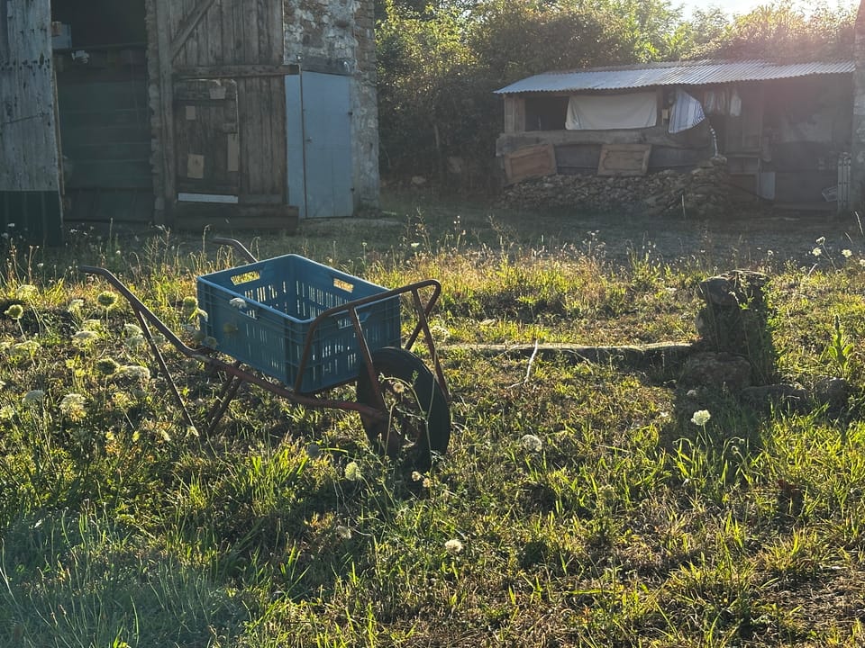 the lot has changed!